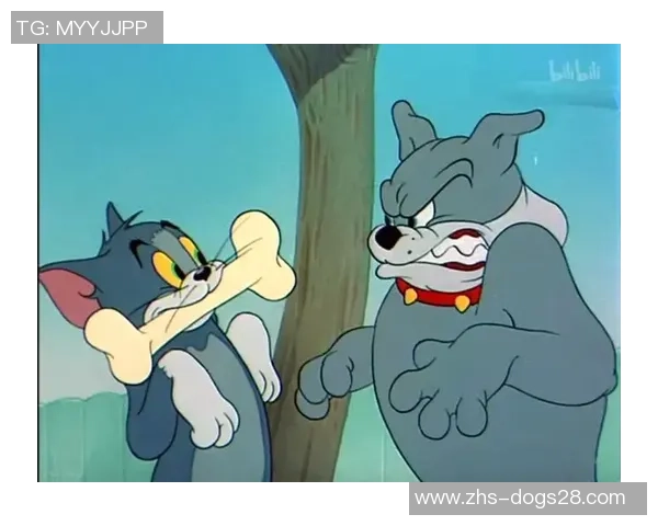 足球猫与老鼠的奇妙冒险赛场上的友谊与竞争交织的故事